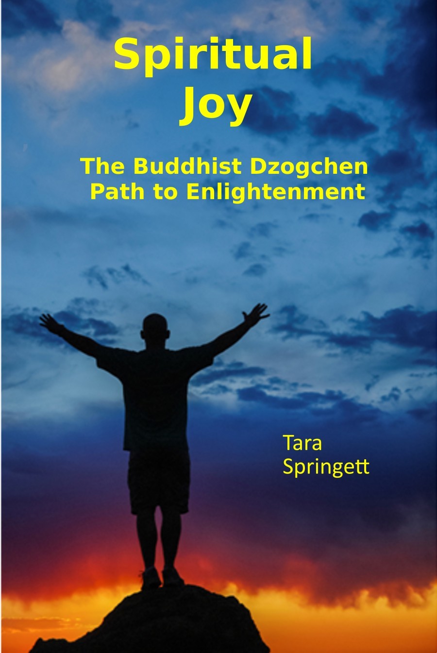 view-buy-tara-springett-s-book-spiritual-joy